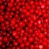 供應(yīng)越桔天然紅色素（花青素）