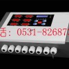 煤氣泄漏報(bào)警器/RBK系列