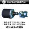 YDWⅡ、YZWⅡ、WD型外裝式電動(dòng)滾筒（分離式）