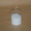 阿拉伯膠的最新廠家報(bào)價(jià)