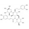 供應(yīng)連翹酯苷B  81525-13-5