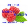 酪蛋白酸鈉最新報價 酪蛋白酸鈉國家免檢 酪蛋白酸鈉價格