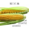 魚(yú)精蛋白禁發(fā) 硫酸鹽使用說(shuō)明 魚(yú)精蛋白禁發(fā) 硫酸鹽中國(guó)馳名商標(biāo)