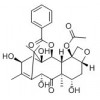 供應(yīng)10-脫乙酰巴卡亭  32981-86-5