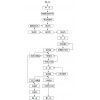 鞏義鉑思特低品位金礦石全泥***化提金工藝，金礦尾渣二次提金設(shè)備
