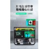 薩登10千瓦汽油發(fā)電機220v廠家