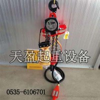 三榮環鏈氣動葫蘆500kg現貨,環鏈氣動葫蘆十年使用壽命