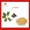 供應厚樸提取物厚樸酚10% 50% 90% 98%